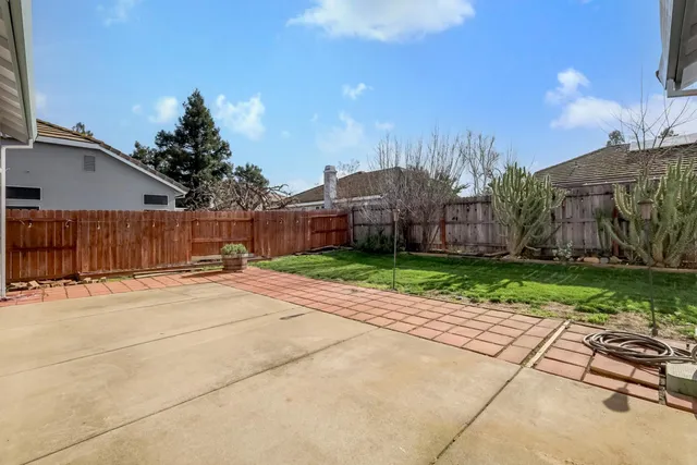 a view of a backyard with potted plants and a large tree