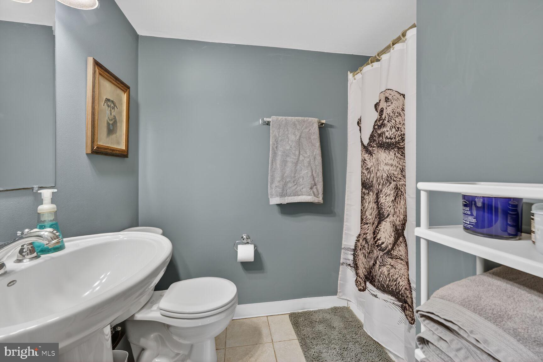 617 Gist Avenue Silver Spring, MD 20910 - Photo 23 of 31 Basement full bathroom