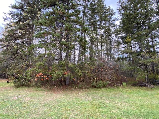 88 Madawaska Road Caribou, ME 04736 - Photo 58 of 92 88 Madawaska Road Caribou Fall 2024 (65)