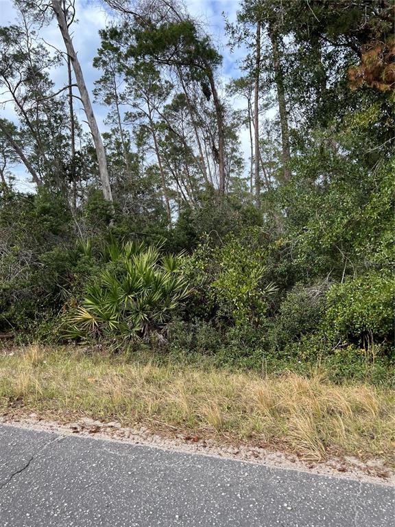 Fishermans Road Paisley, FL 32767 - Photo 4 of 4 Gallery Image 4