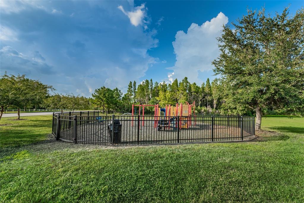 1345 Halapa Way Trinity, FL 34655 - Photo 88 of 93