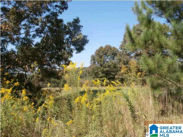 Parr Parkway Birmingham, AL 35214 - Photo 2 of 3