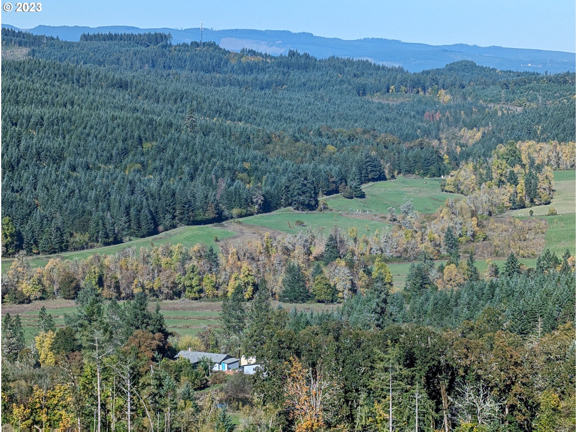 17600 Shady Lane Road Monmouth, OR 97361 - Photo 2 of 44 a view of a lush green hillside and a building
