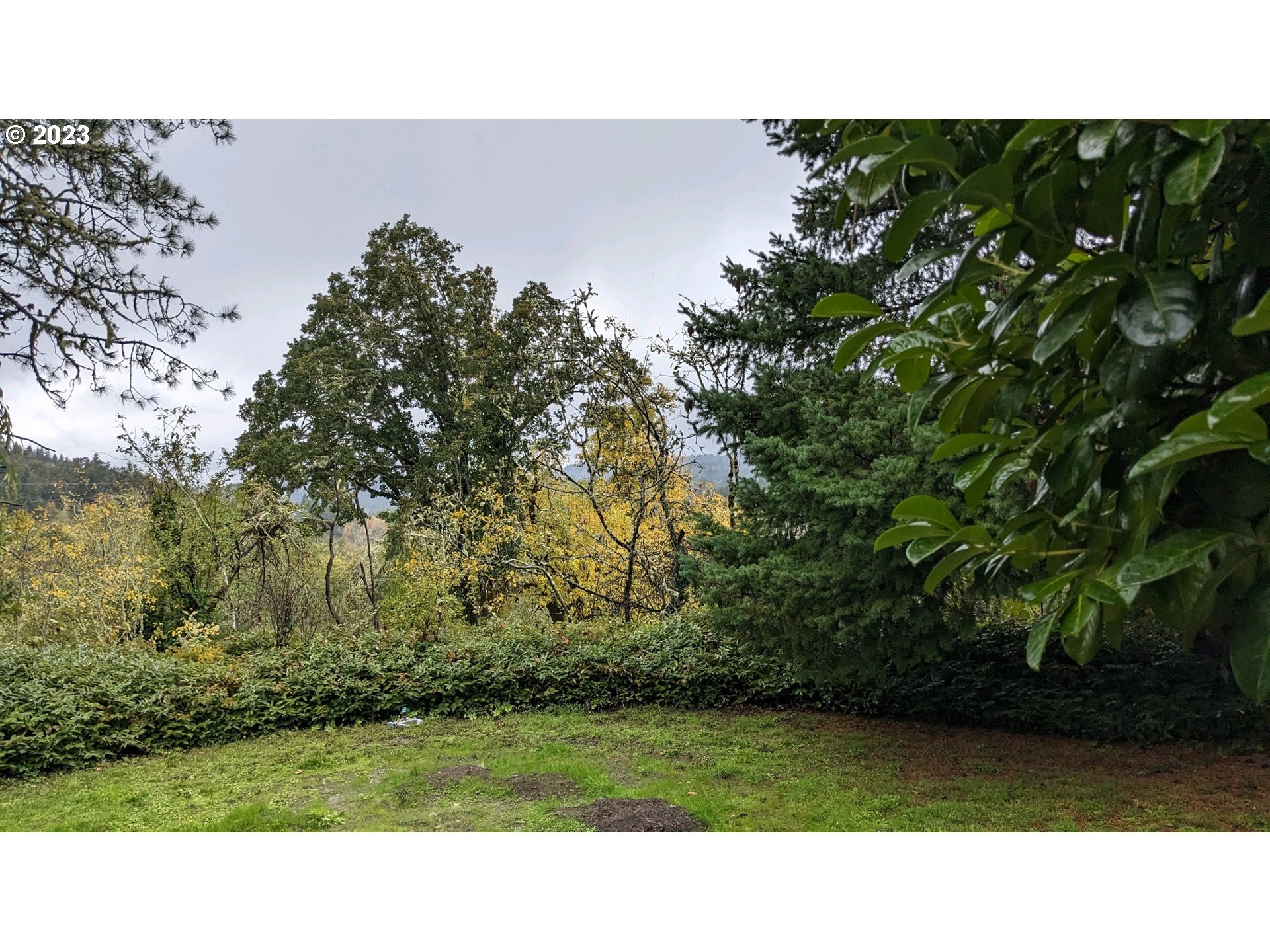 17600 Shady Lane Road Monmouth, OR 97361 - Photo 40 of 44