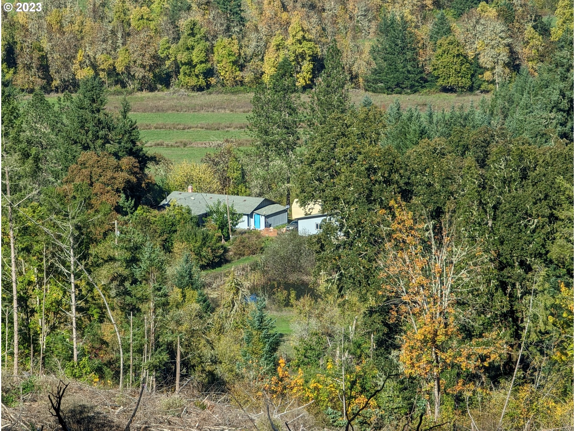 17600 Shady Lane Road Monmouth, OR 97361 - Photo 4 of 44 a view of a lush green forest with lots of trees