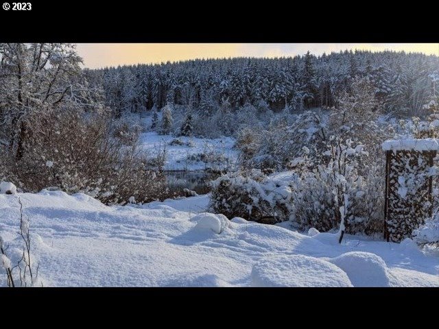 17600 Shady Lane Road Monmouth, OR 97361 - Photo 42 of 44