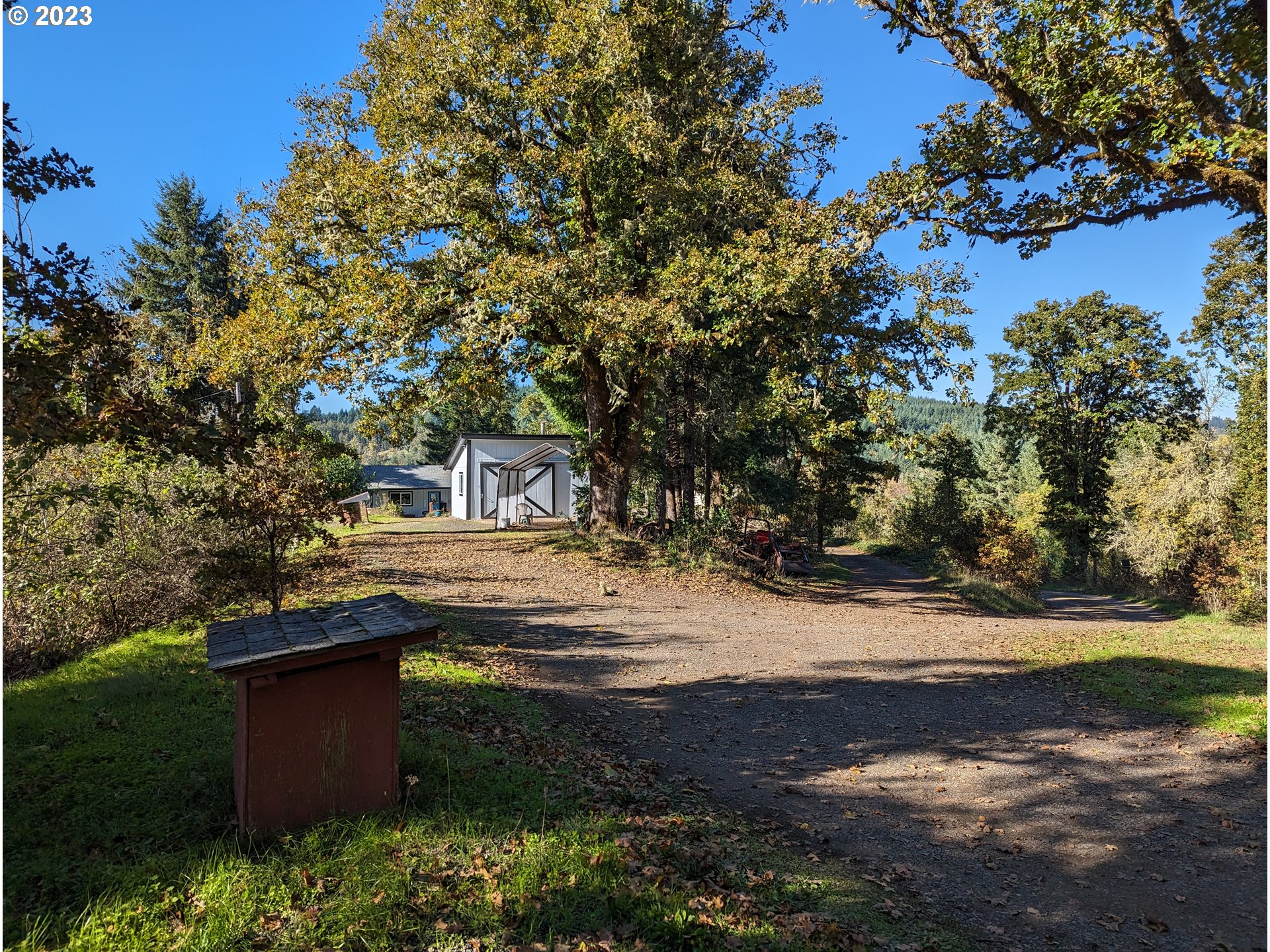 17600 Shady Lane Road Monmouth, OR 97361 - Photo 6 of 44 a view of a yard with plants and large trees