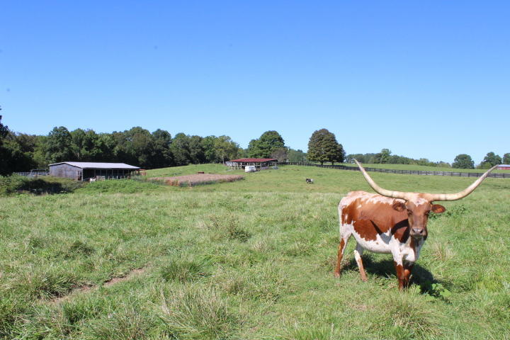 859 Rumbo Road Jamestown, KY 42629 - Photo 174 of 186 174