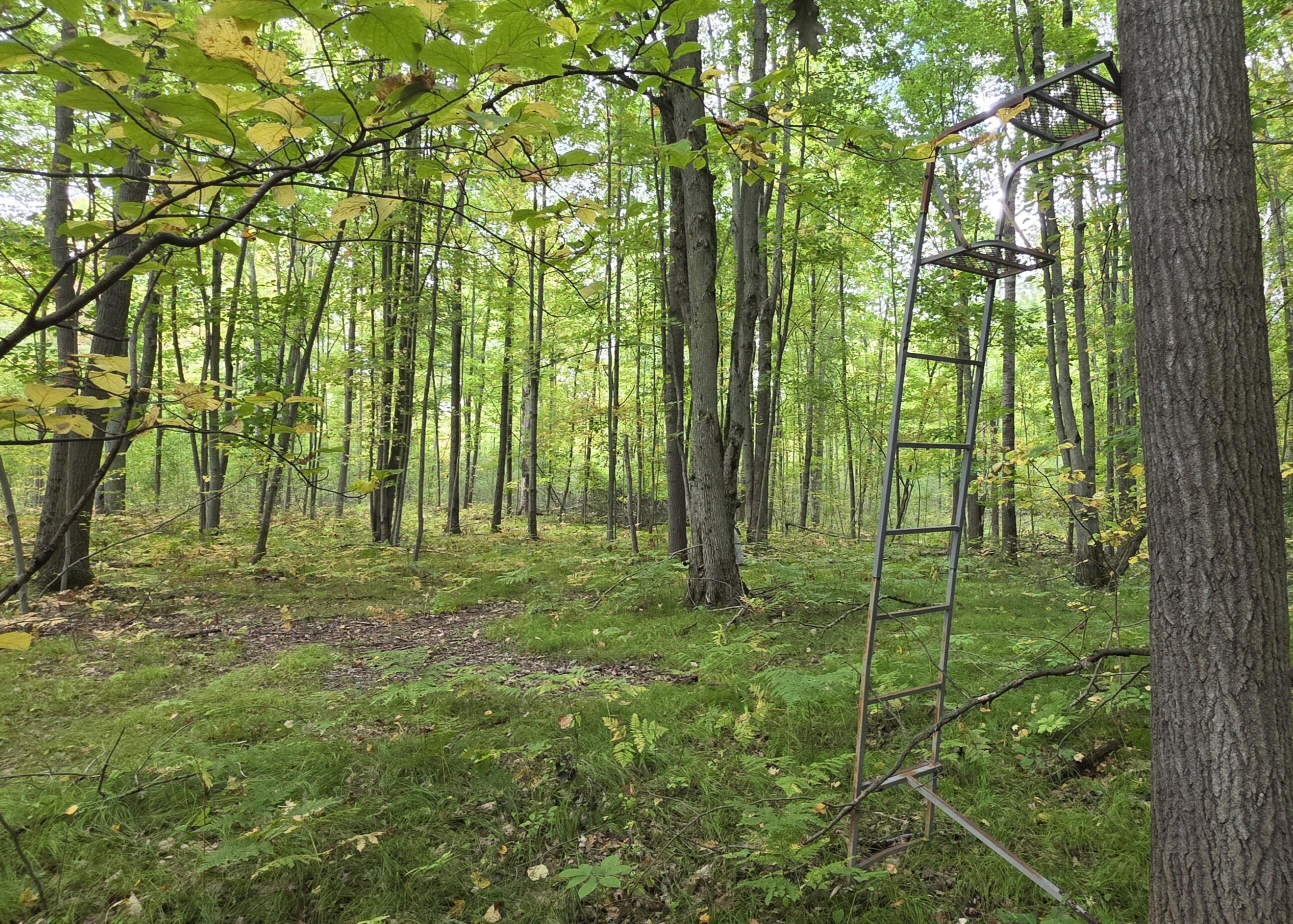 5155 18 Mile Road Barryton, MI 49305 - Photo 29 of 31 20250924_142943 (2)