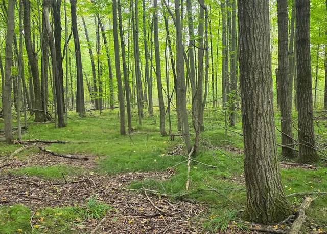 $207,900 | 5155 18 Mile Road, Barryton, MI 49305