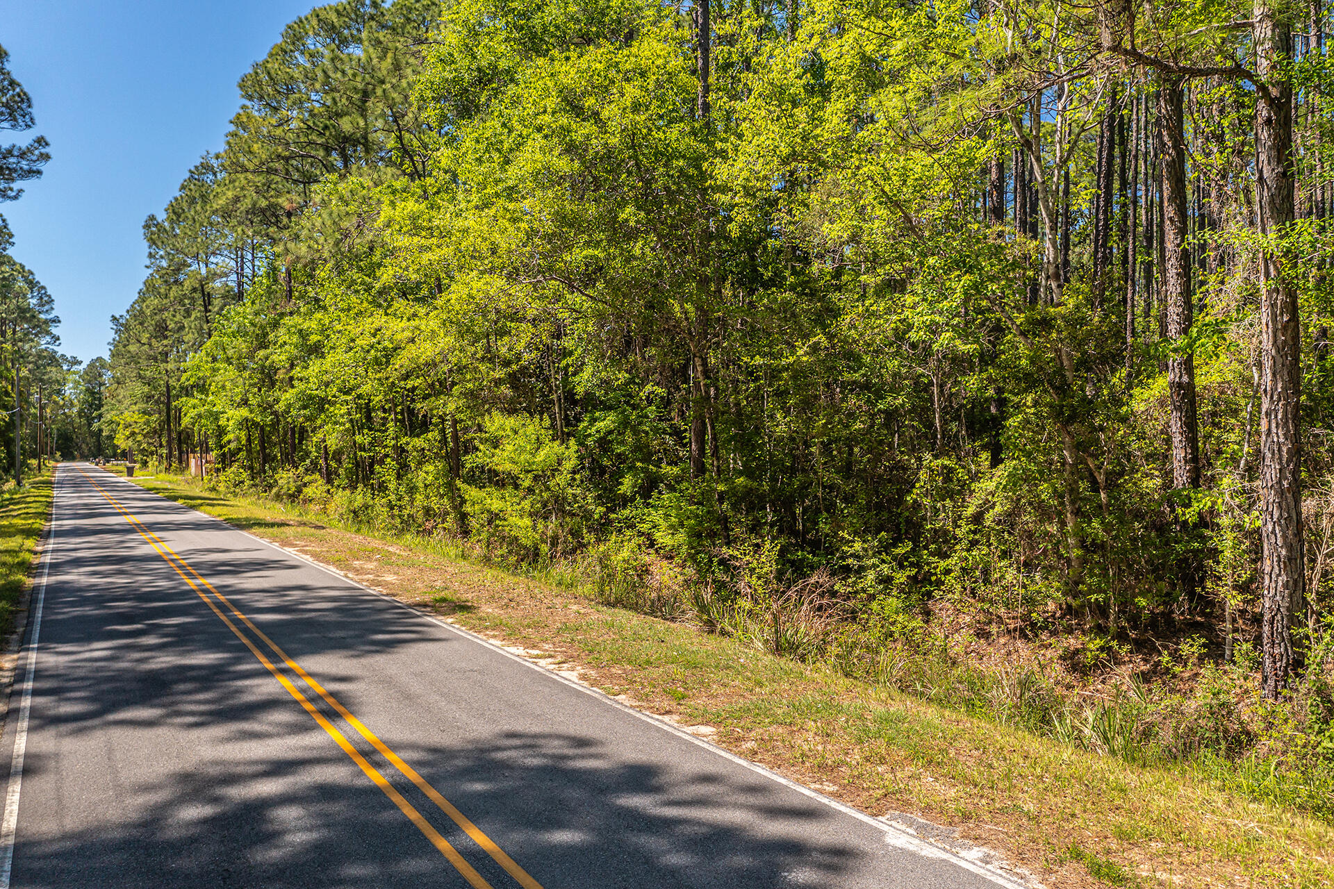 191 Mallet Road Freeport, FL 32439 - Photo 8 of 15 a view of a yard