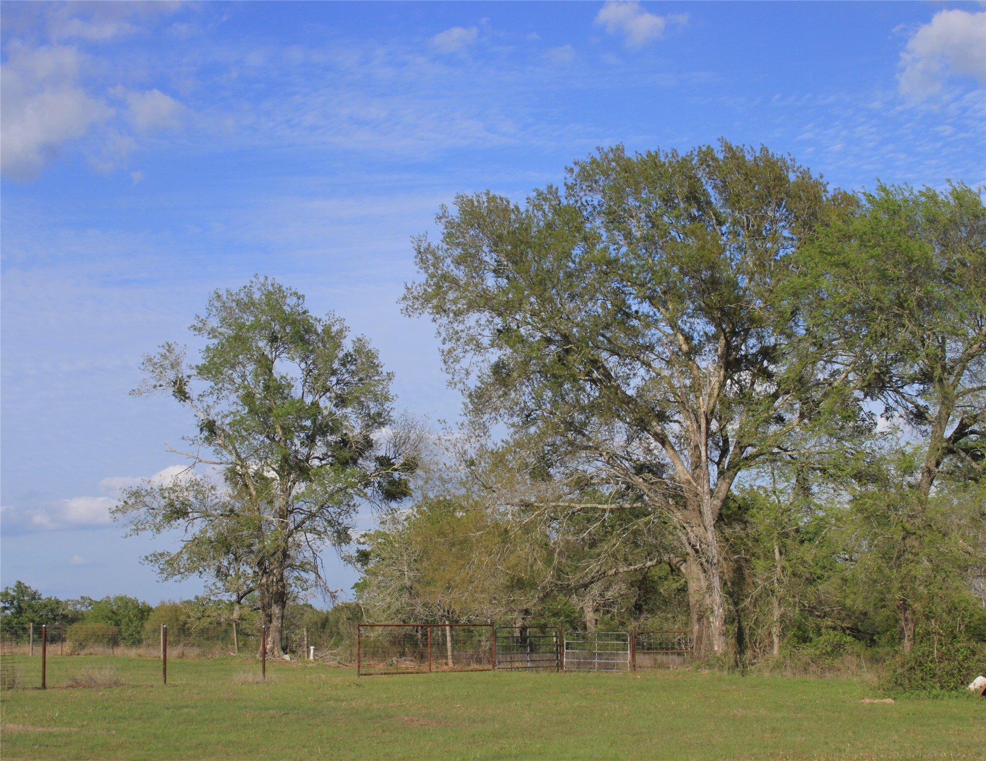 27134 Muckelroy Road Hempstead, TX 77445 - Photo 7 of 9
