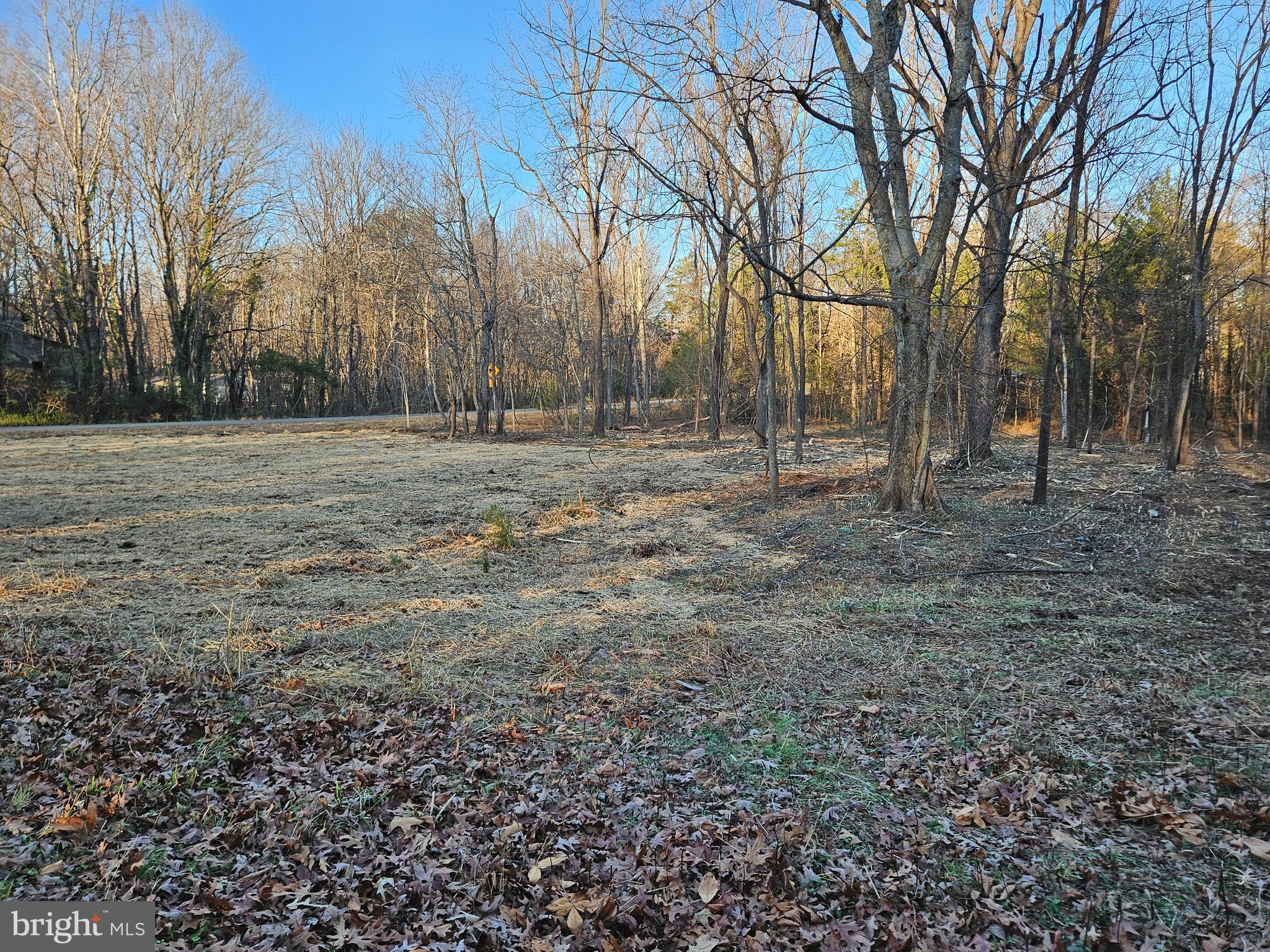 0 Physic Spring Road Dillwyn, VA 23936 - Photo 1 of 17 a view of dirt yard with trees
