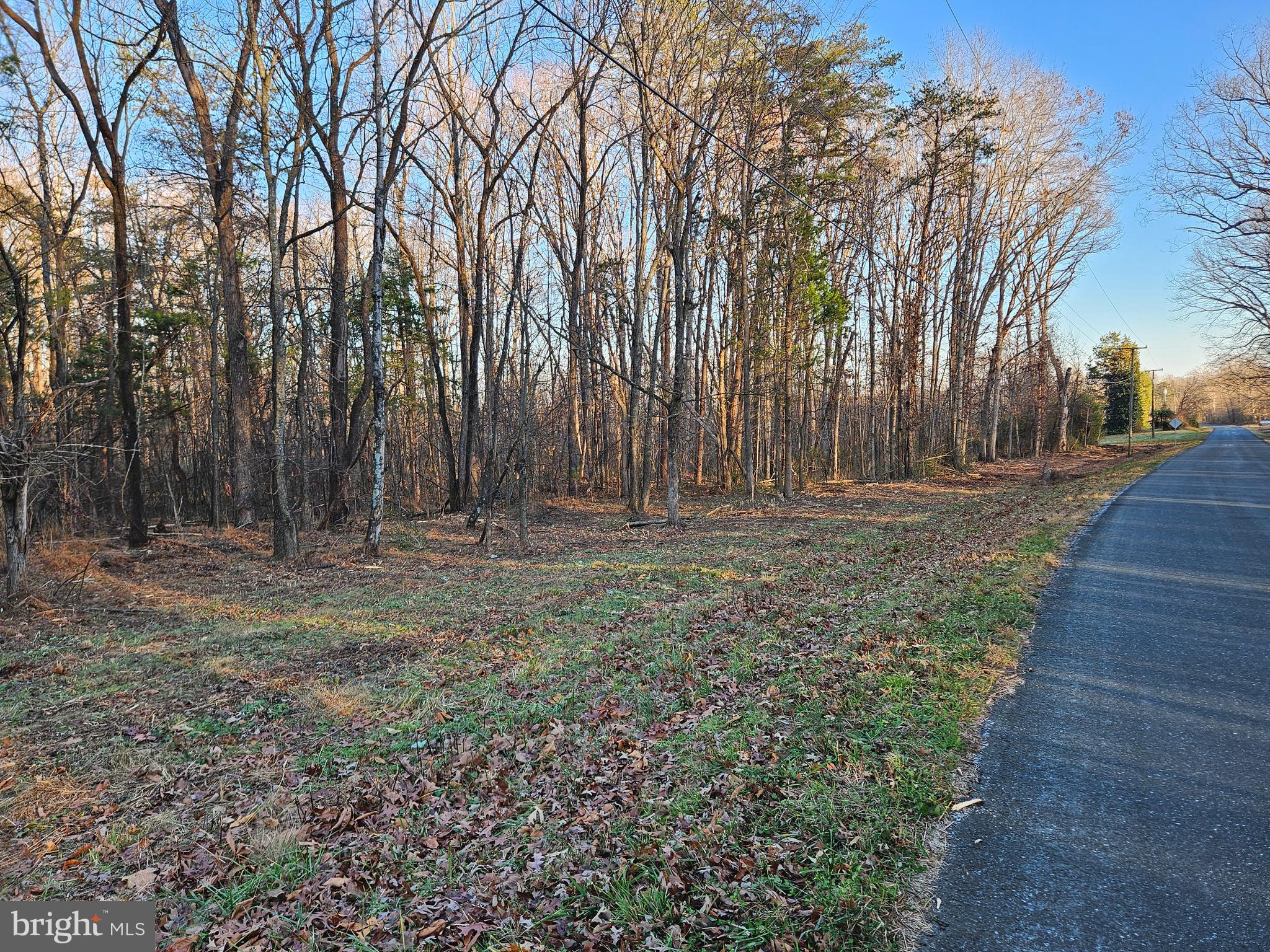 0 Physic Spring Road Dillwyn, VA 23936 - Photo 3 of 17 a view of outdoor space with trees