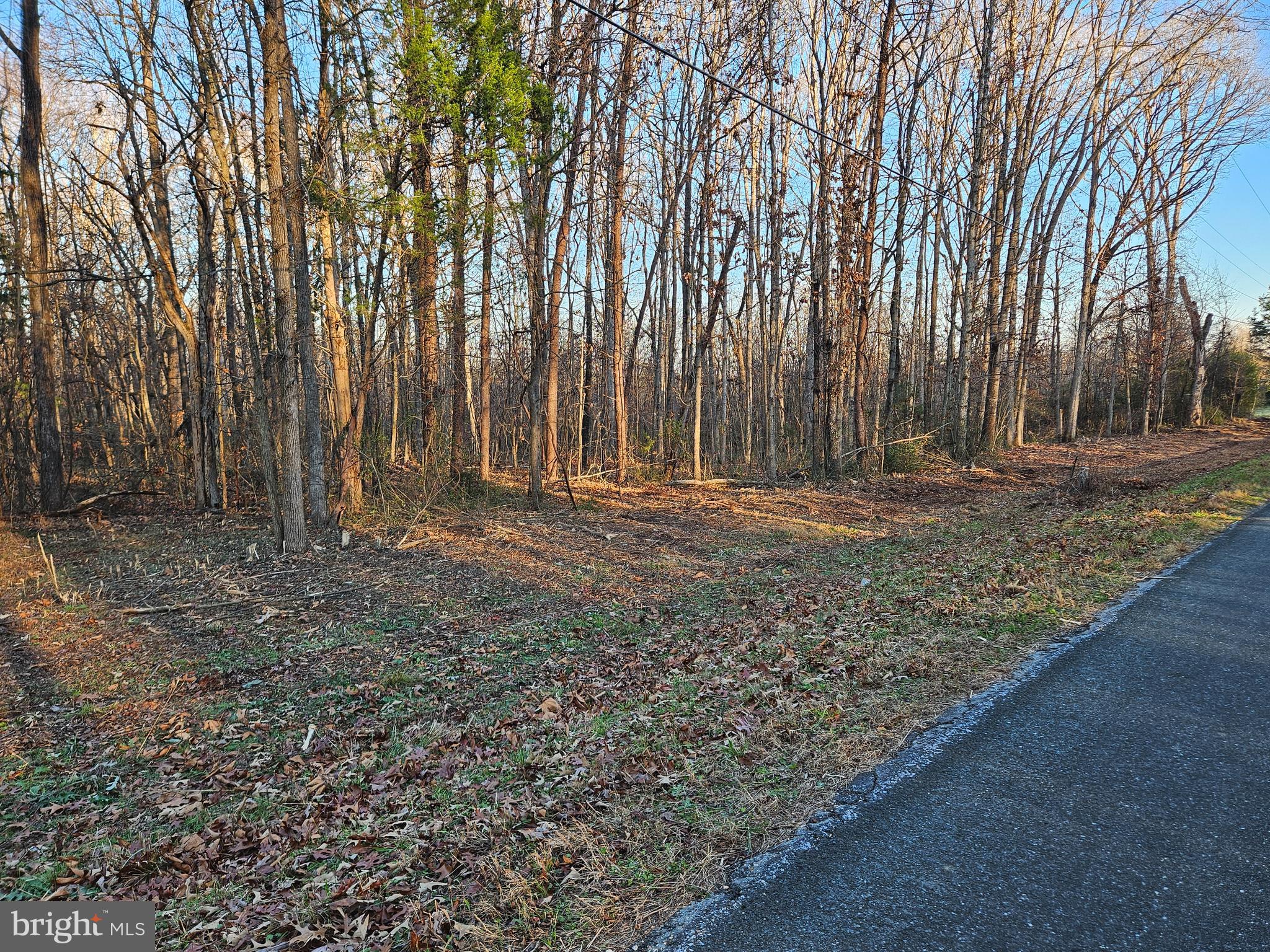 0 Physic Spring Road Dillwyn, VA 23936 - Photo 4 of 17 a backyard of a house with lots of green space