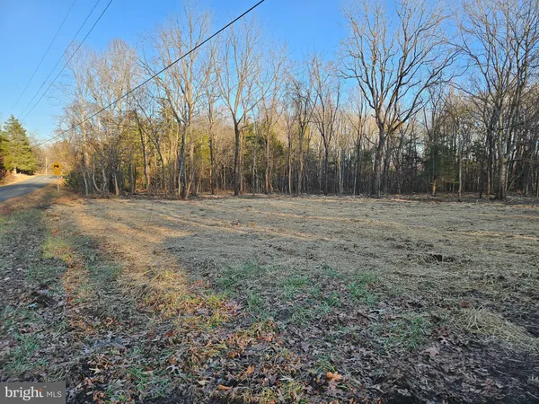 a view of empty field with trees