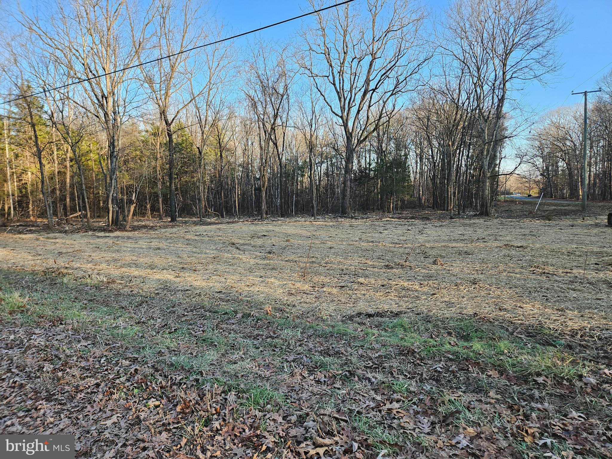 0 Physic Spring Road Dillwyn, VA 23936 - Photo 8 of 17 a view of a field with trees in the background