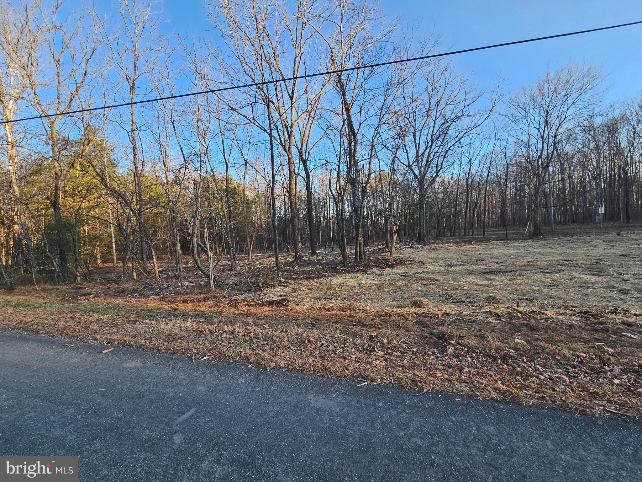 0 Physic Spring Road Dillwyn, VA 23936 - Photo 9 of 17 a backyard of a house with lots of green space