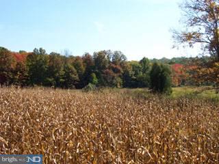 0 Mexico Road Oley, PA 19547 - Photo 1 of 5 Gallery Image 1