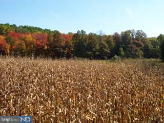 0 Mexico Road Oley, PA 19547 - Photo 2 of 5 Gallery Image 2