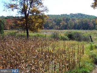 0 Mexico Road Oley, PA 19547 - Photo 3 of 5 Gallery Image 3
