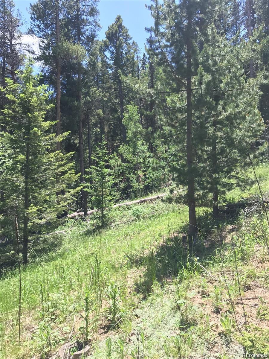 0 Talus Circle Black Hawk, CO 80422 - Photo 11 of 36