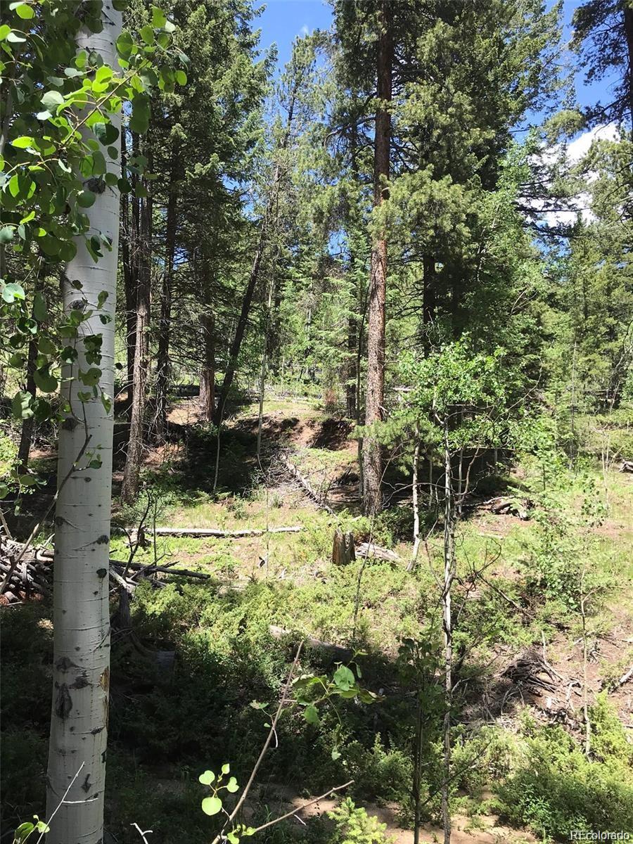 0 Talus Circle Black Hawk, CO 80422 - Photo 12 of 36