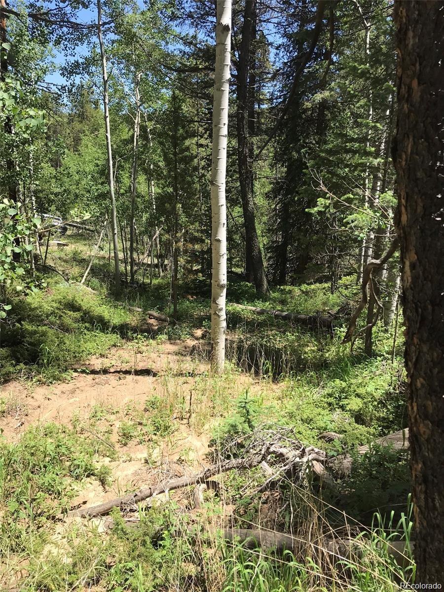 0 Talus Circle Black Hawk, CO 80422 - Photo 13 of 36