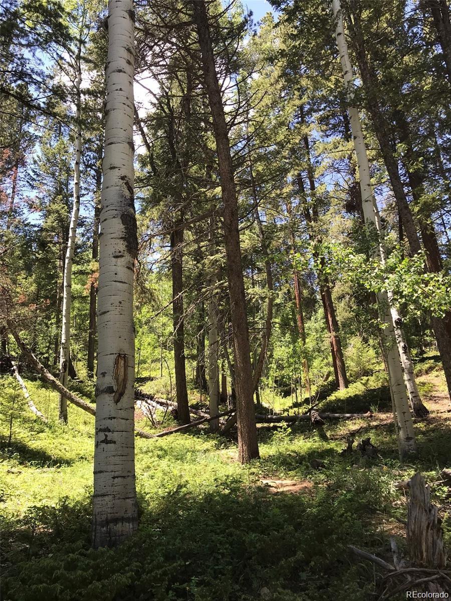 0 Talus Circle Black Hawk, CO 80422 - Photo 14 of 36