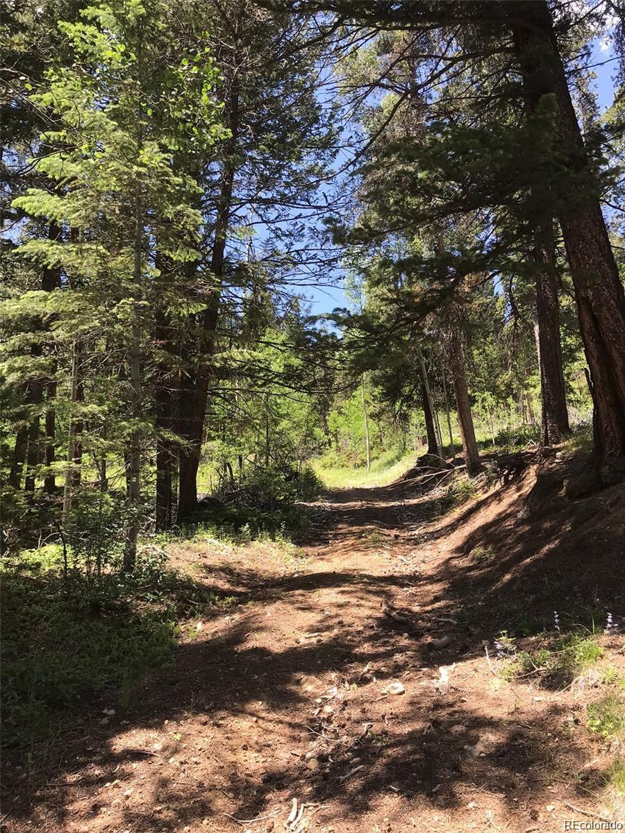 0 Talus Circle Black Hawk, CO 80422 - Photo 15 of 36