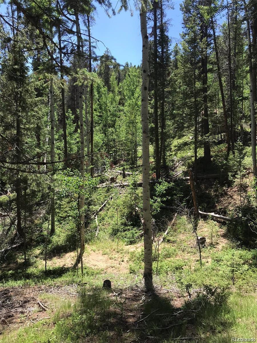 0 Talus Circle Black Hawk, CO 80422 - Photo 16 of 36