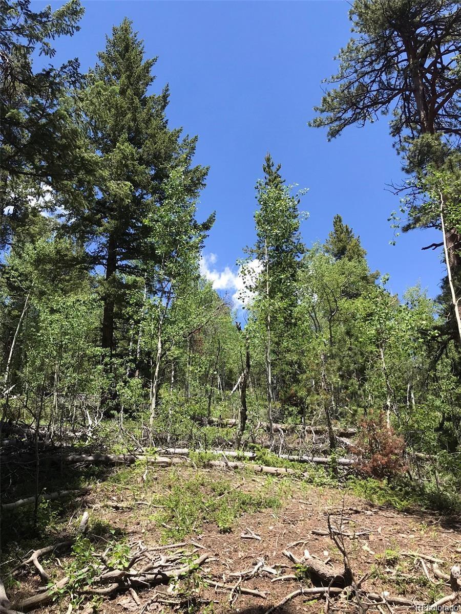 0 Talus Circle Black Hawk, CO 80422 - Photo 17 of 36