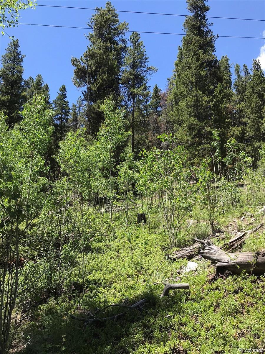 0 Talus Circle Black Hawk, CO 80422 - Photo 18 of 36