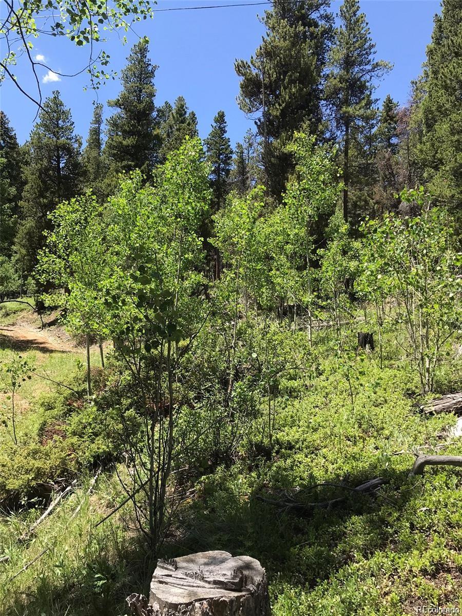 0 Talus Circle Black Hawk, CO 80422 - Photo 19 of 36