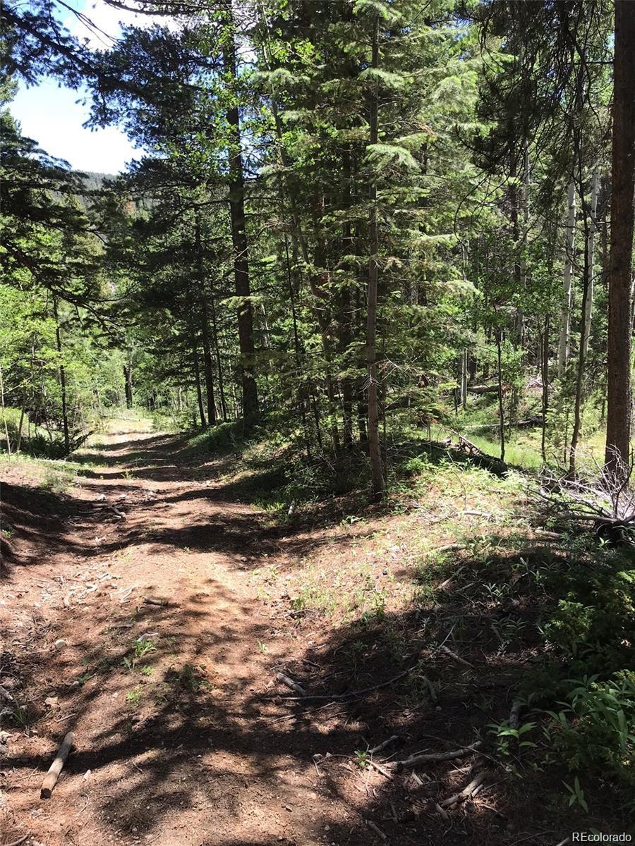 0 Talus Circle Black Hawk, CO 80422 - Photo 20 of 36