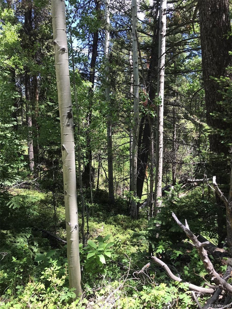 0 Talus Circle Black Hawk, CO 80422 - Photo 21 of 36