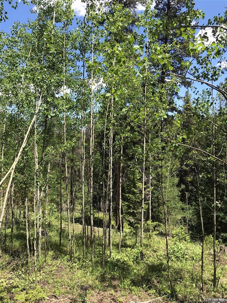 0 Talus Circle Black Hawk, CO 80422 - Photo 22 of 36