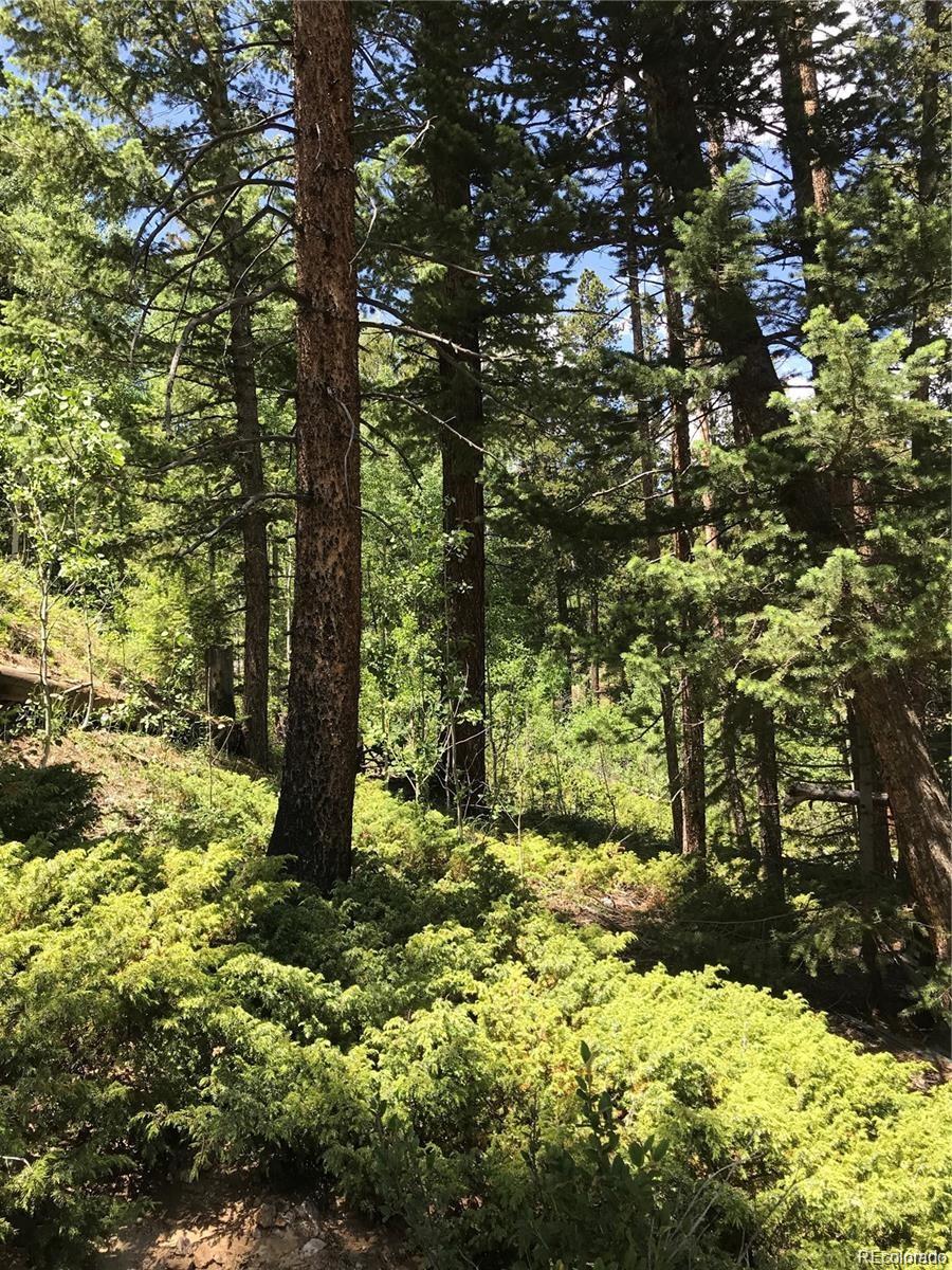 0 Talus Circle Black Hawk, CO 80422 - Photo 23 of 36