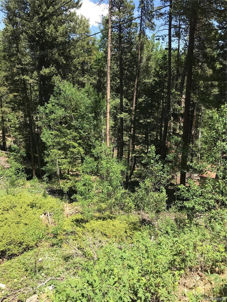 0 Talus Circle Black Hawk, CO 80422 - Photo 24 of 36