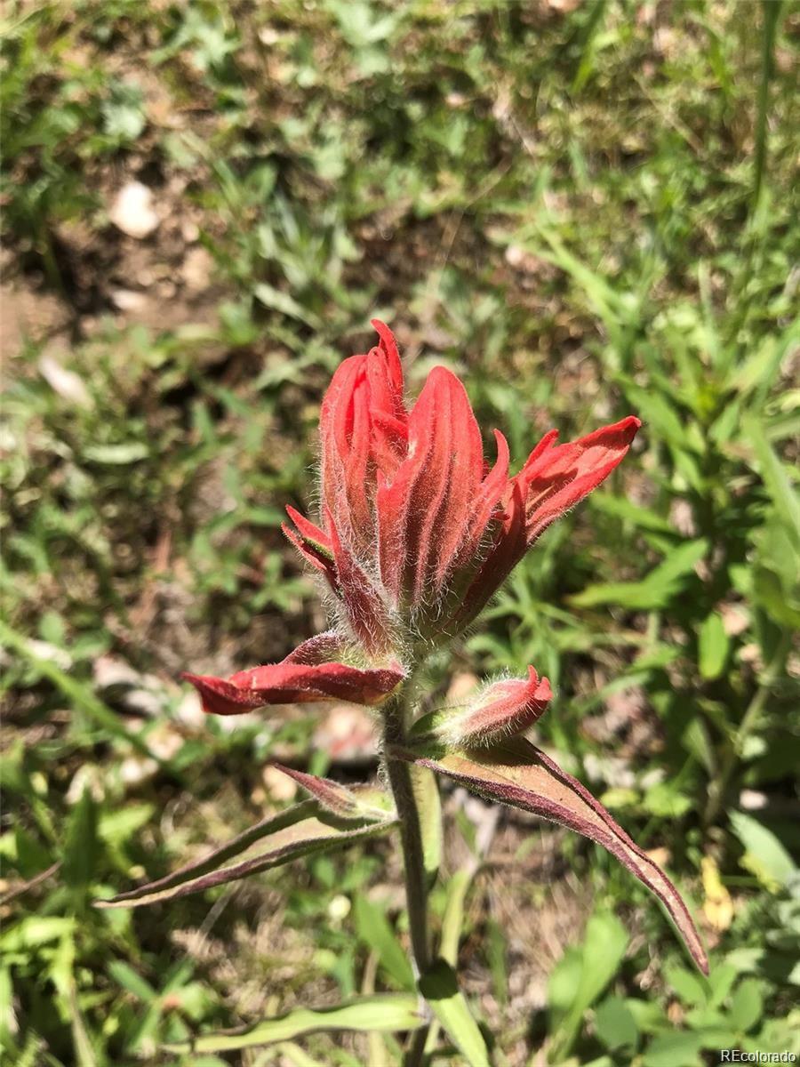 0 Talus Circle Black Hawk, CO 80422 - Photo 26 of 36