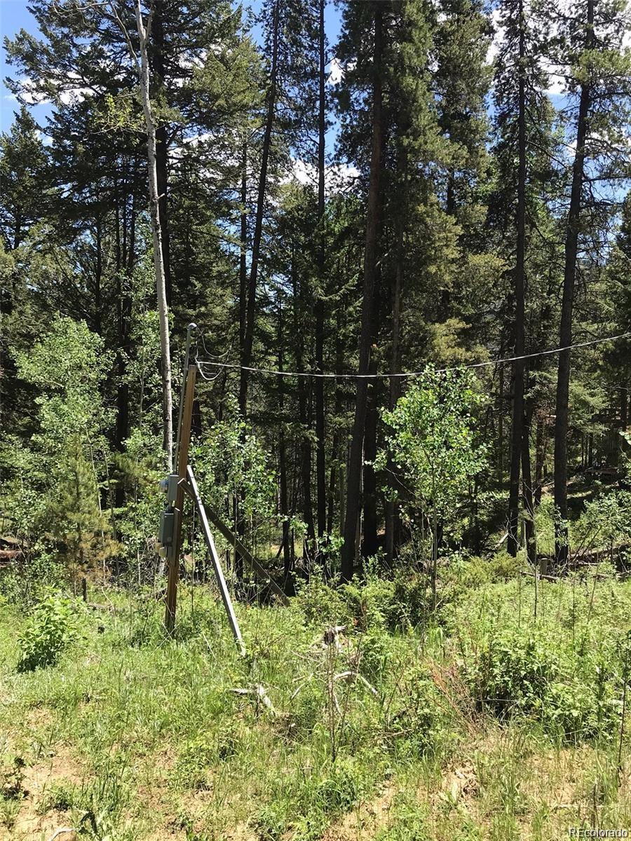 0 Talus Circle Black Hawk, CO 80422 - Photo 28 of 36