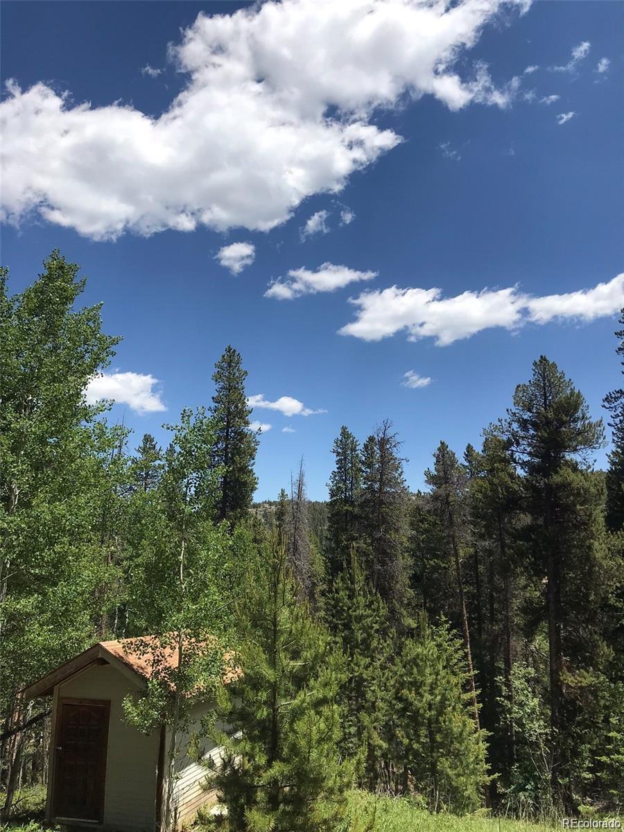 0 Talus Circle Black Hawk, CO 80422 - Photo 29 of 36