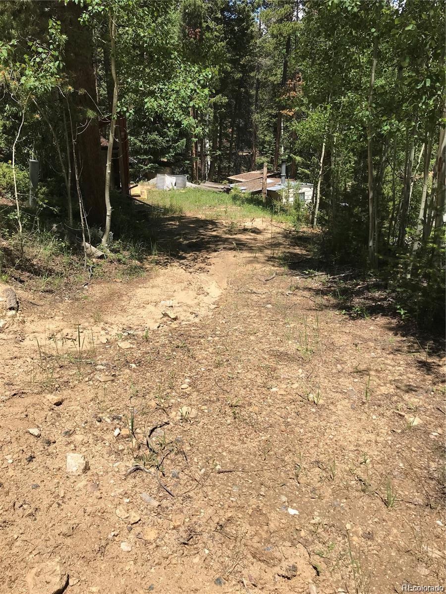 0 Talus Circle Black Hawk, CO 80422 - Photo 30 of 36