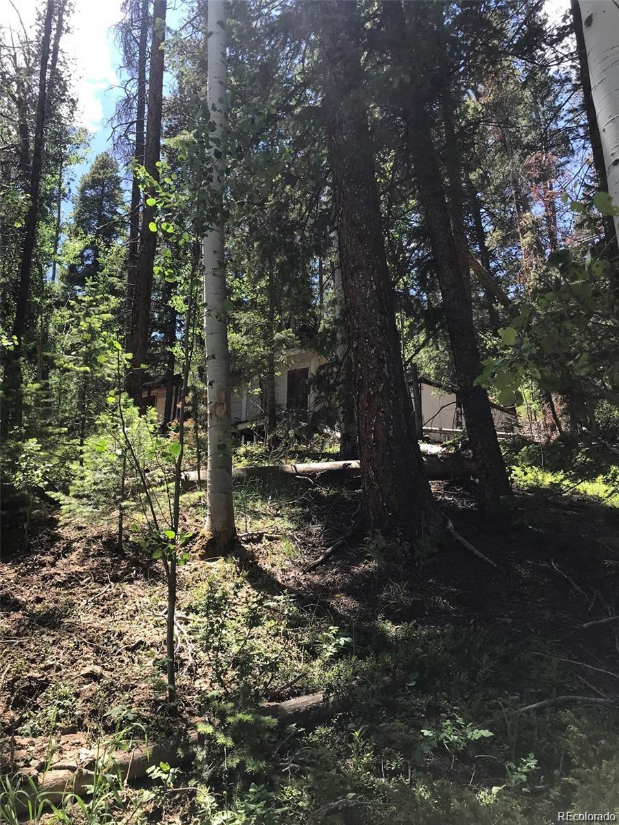 0 Talus Circle Black Hawk, CO 80422 - Photo 31 of 36