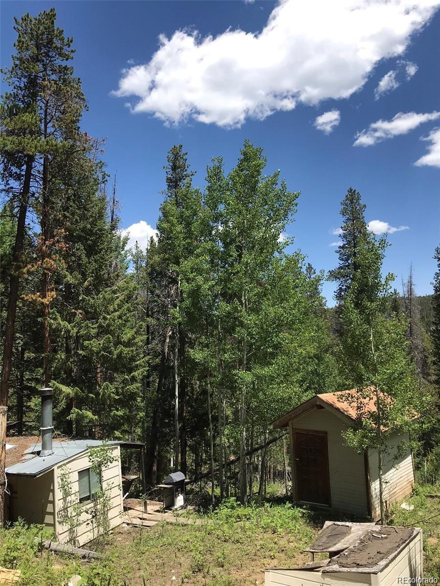 0 Talus Circle Black Hawk, CO 80422 - Photo 32 of 36