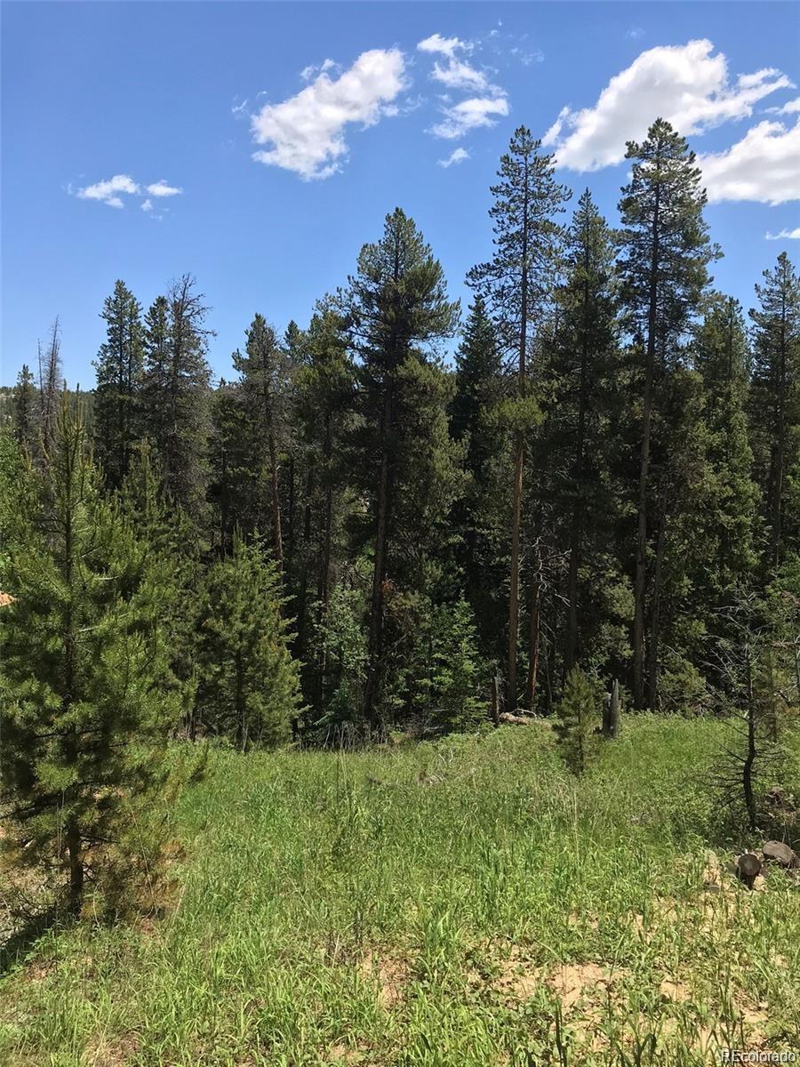 0 Talus Circle Black Hawk, CO 80422 - Photo 4 of 36