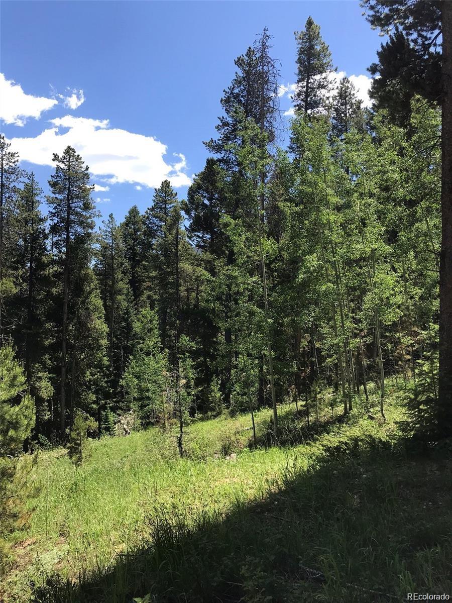 0 Talus Circle Black Hawk, CO 80422 - Photo 5 of 36
