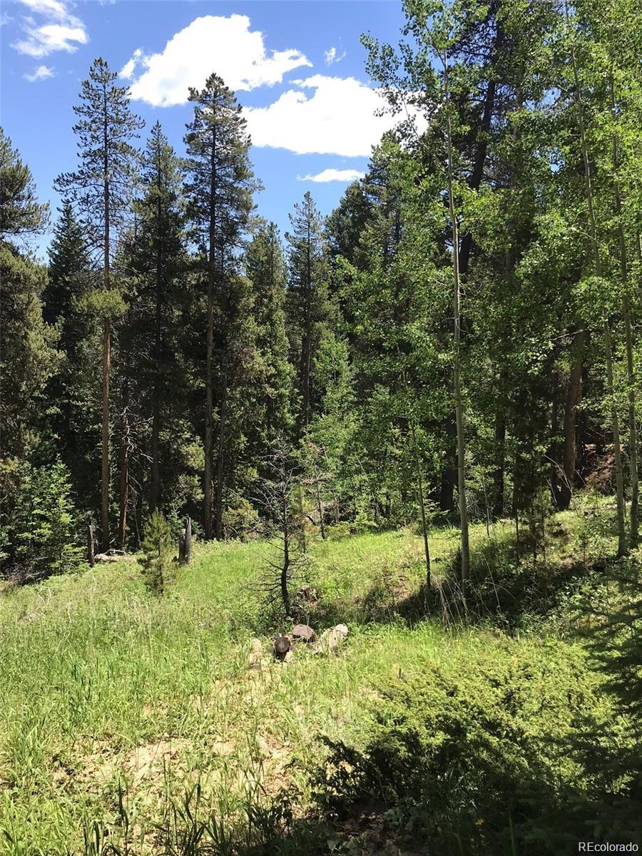 0 Talus Circle Black Hawk, CO 80422 - Photo 6 of 36