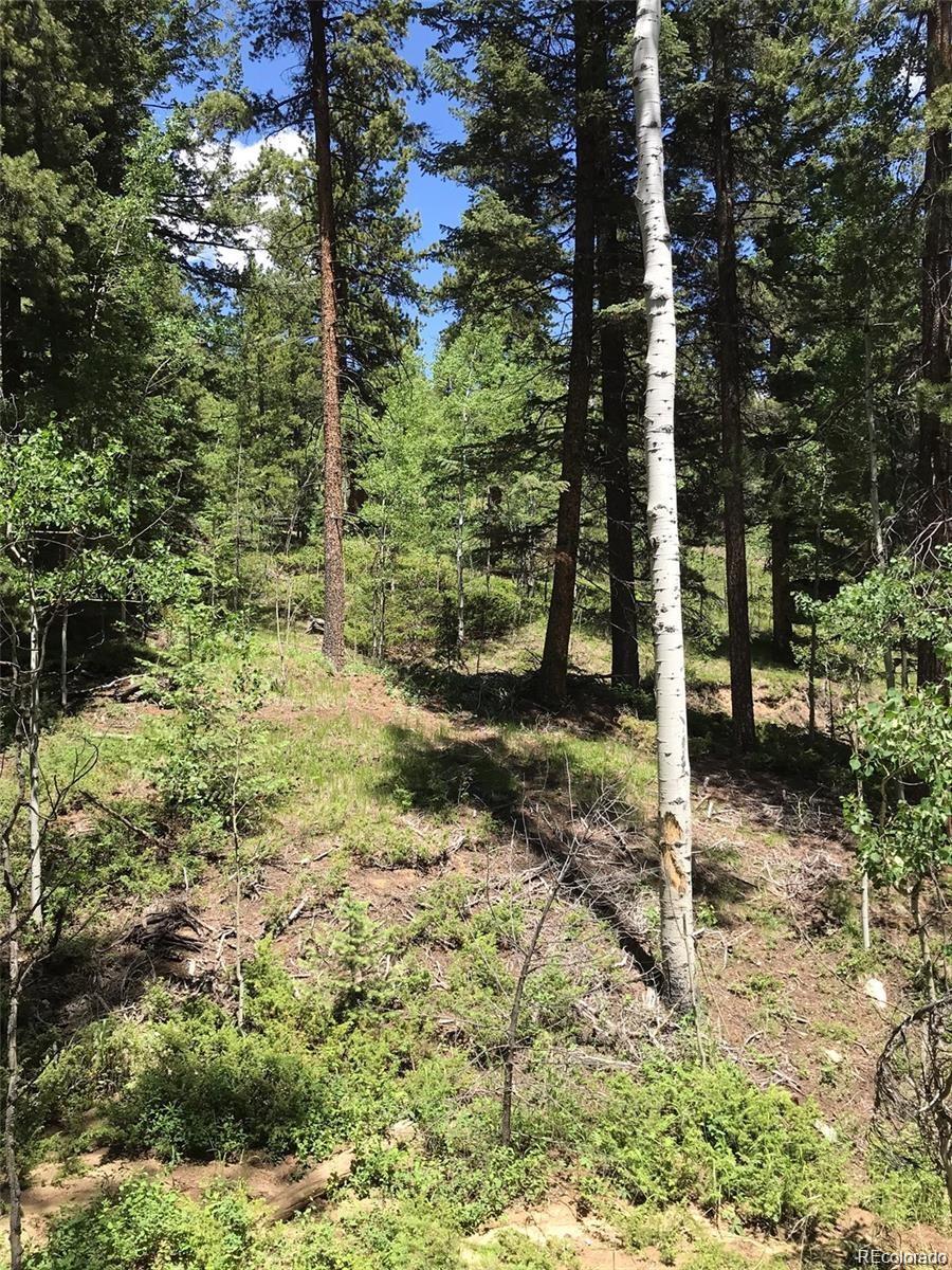 0 Talus Circle Black Hawk, CO 80422 - Photo 7 of 36