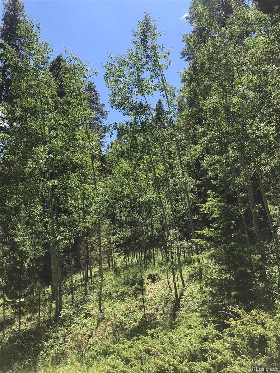 0 Talus Circle Black Hawk, CO 80422 - Photo 8 of 36